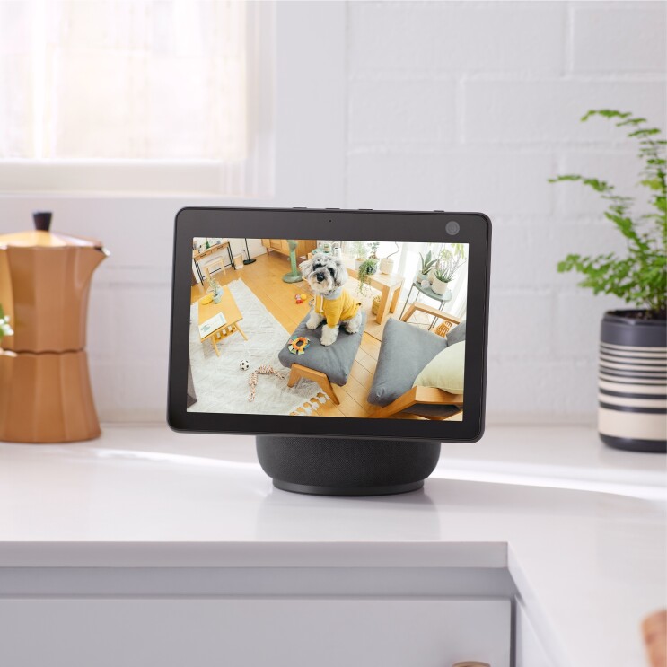 キッチンにあるスクリーンにリビングのソファで立っている犬が表示されている。