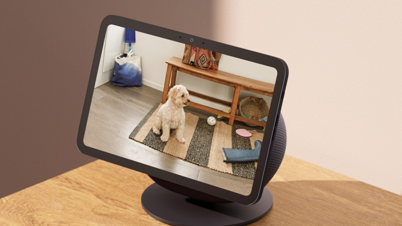 Amazon Echo 11 auf einem Ständer, auf dem der Hund zu sehen ist