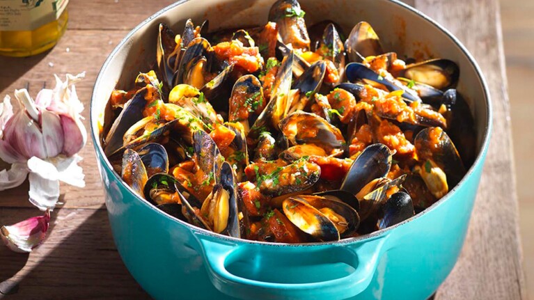 '一天2023人生活博客最佳交易:贻贝绿松石Le Creuset锅。