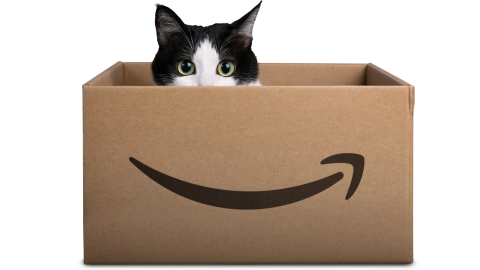 A cat peers out of a carboard box with an Amazon logo on the front