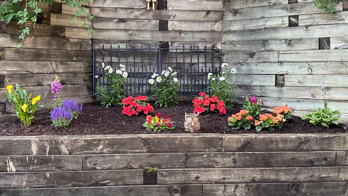 an image of a garden with pink, yellow, and purple flowers and green plants. There is dark brown soil between the freshly planted flowers and plants. There is a wood fence behind the garden. 