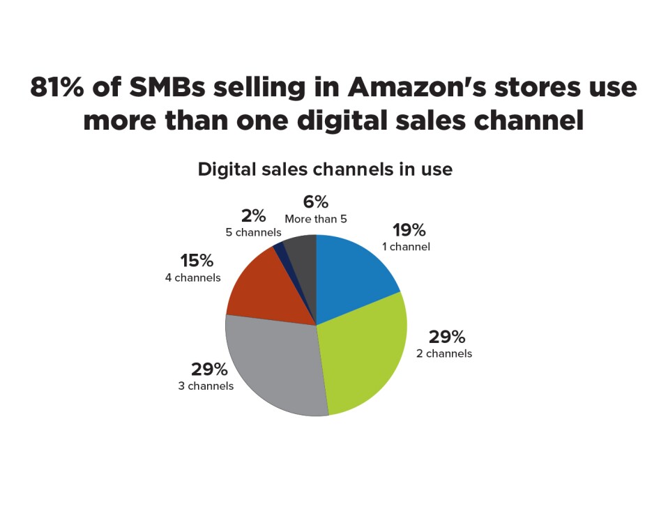 Infographic image that says "81% of SMBs selling in Amazon's stores use more than one digital sales channel"