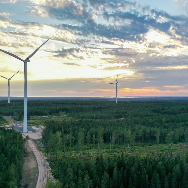 A sustainable wind farm.