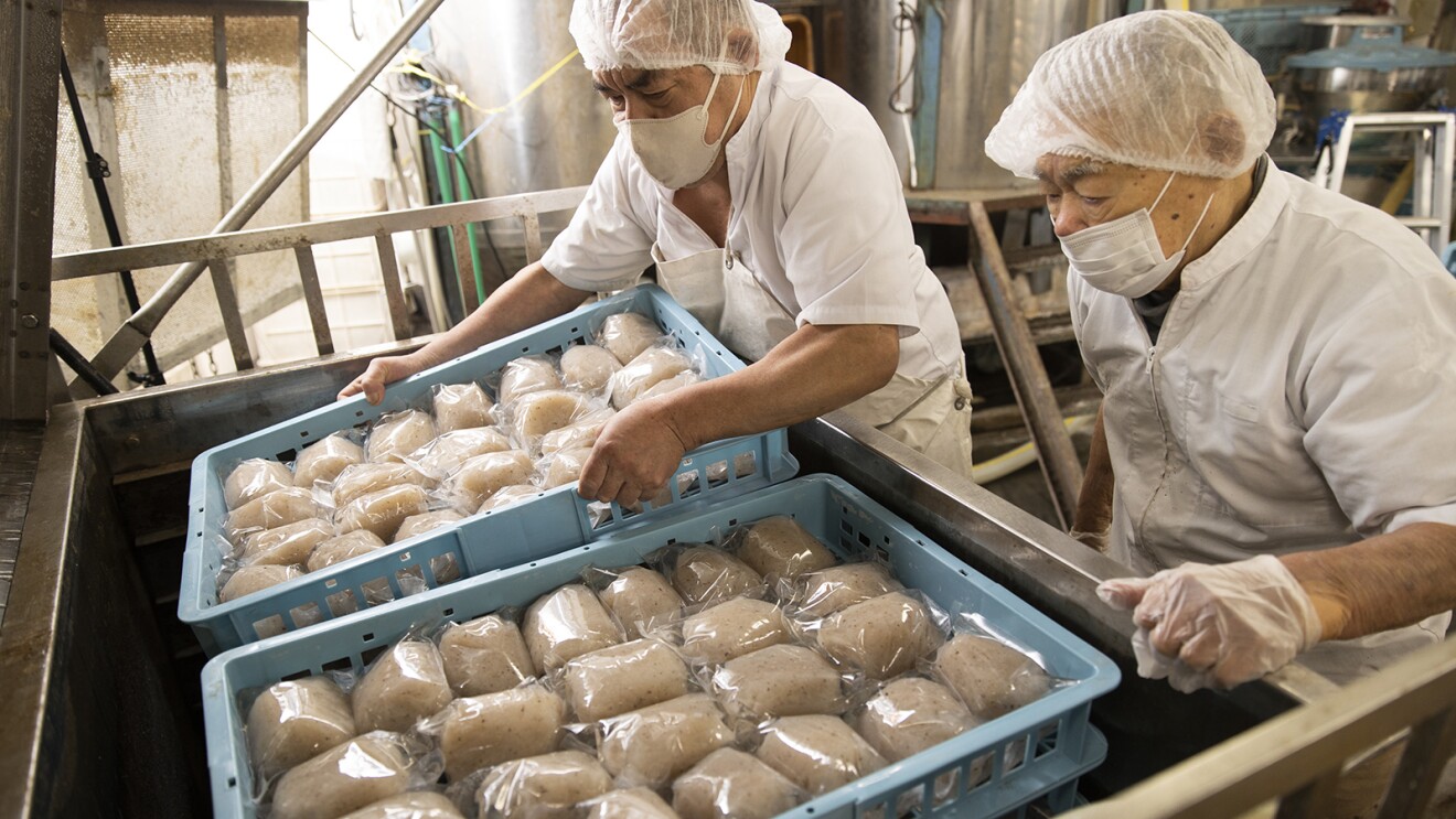 こんにゃくをたくさん詰めたカートンごと大型の機械にいれる様子