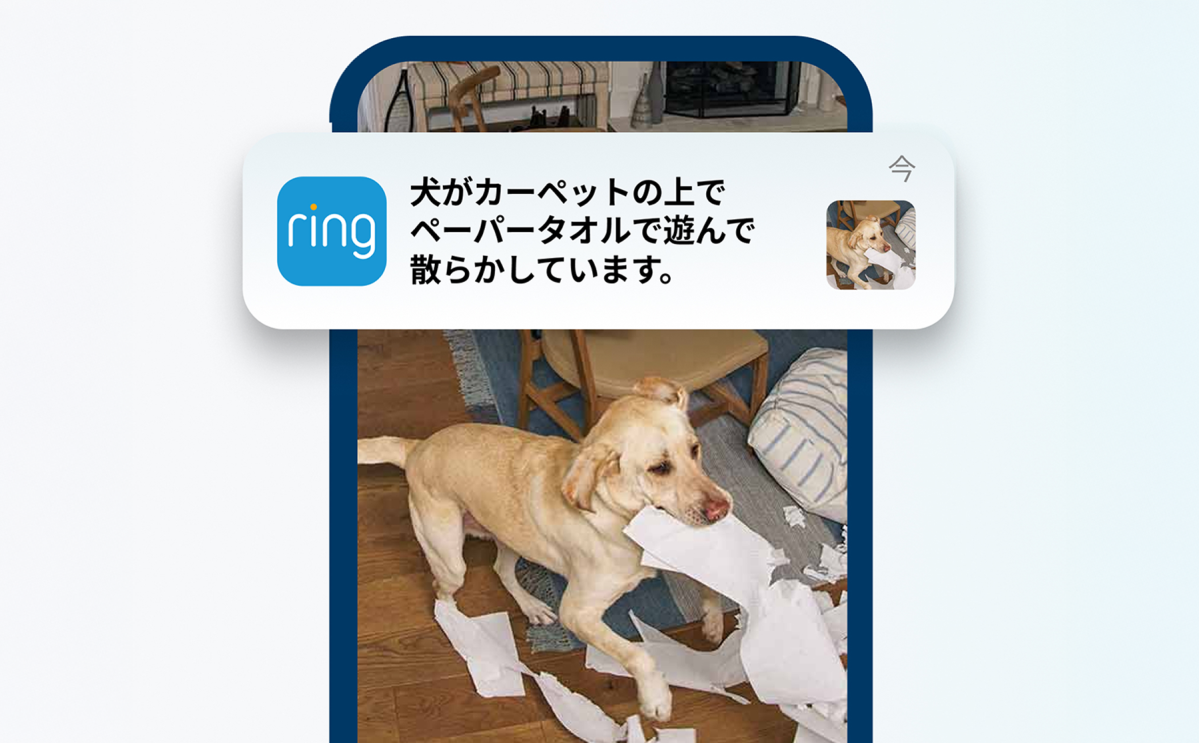 Ringのスマートビデオ通知画面。犬がペーパータオルで遊んでいる様子をカメラが検知し通知している