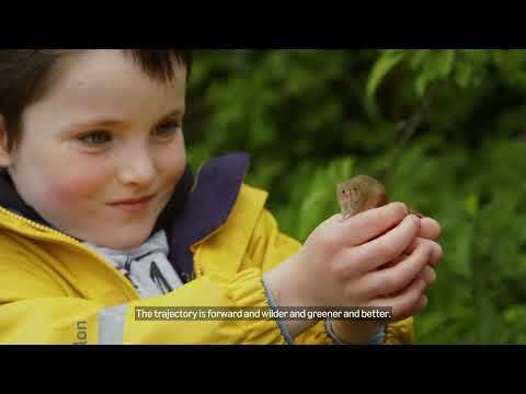 Right Now Climate Fund: Learn how Amazon is helping to rewild London