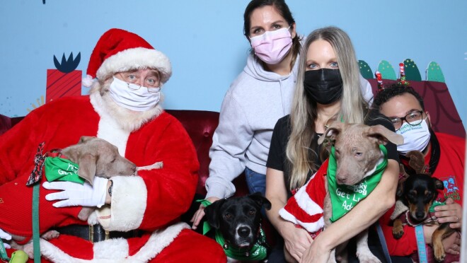 三个人都有一只狗坐在圣诞老人也是拿着一只狗。