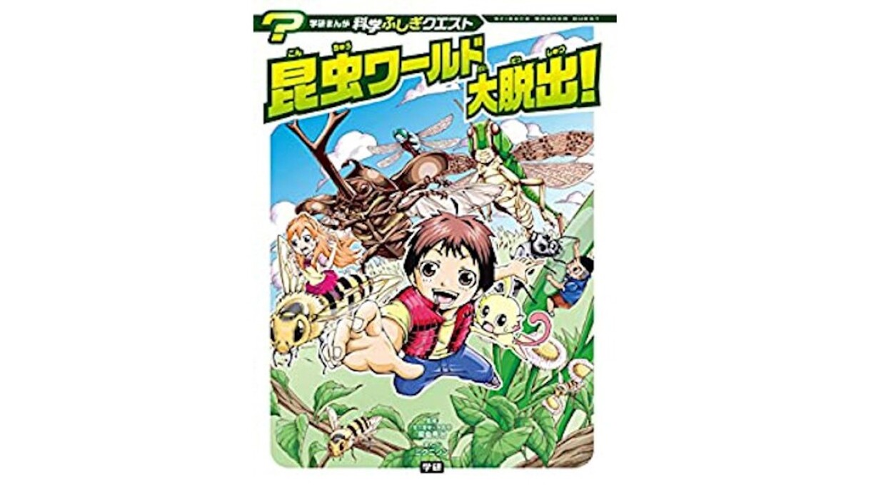 家族とアウトドア気分なおうち時間 おうちキャンプ「家キャン」をさらに盛り上げるAmazonデバイス活用術