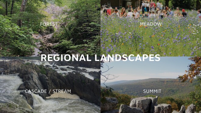 图片显示了阿灵顿新总部大楼的规划,以及它将如何与自然景观相似。