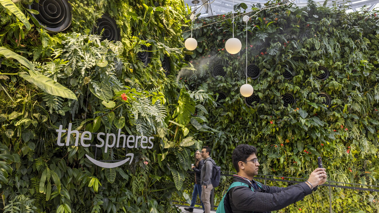 An image of a man taking a photo in front of a large green wall with a silver sign that says "The Spheres" on it. 
