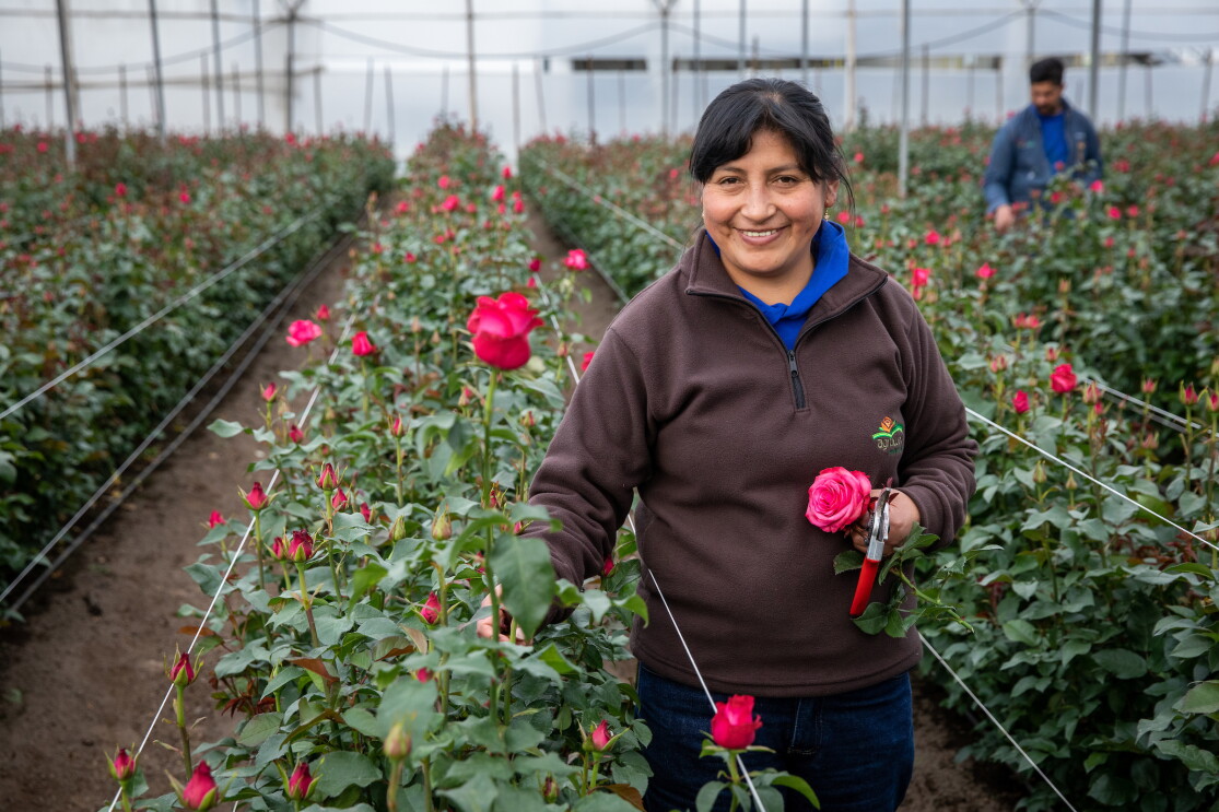 Whole Foods Market Whole Trade certified roses and the farmers who grow them.