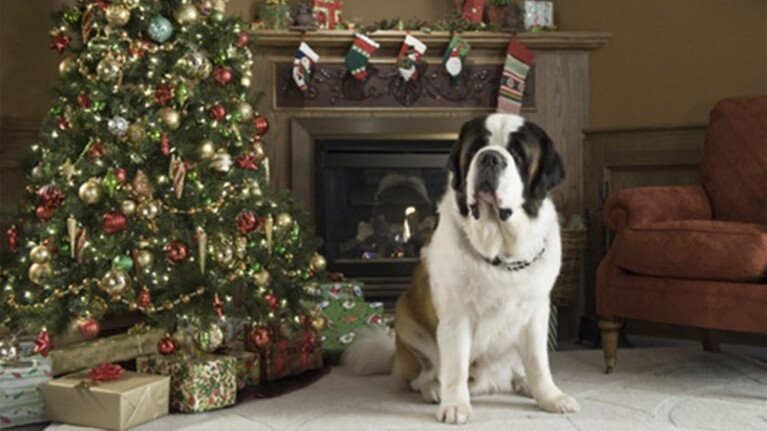 Beethoven’s Christmas Adventure