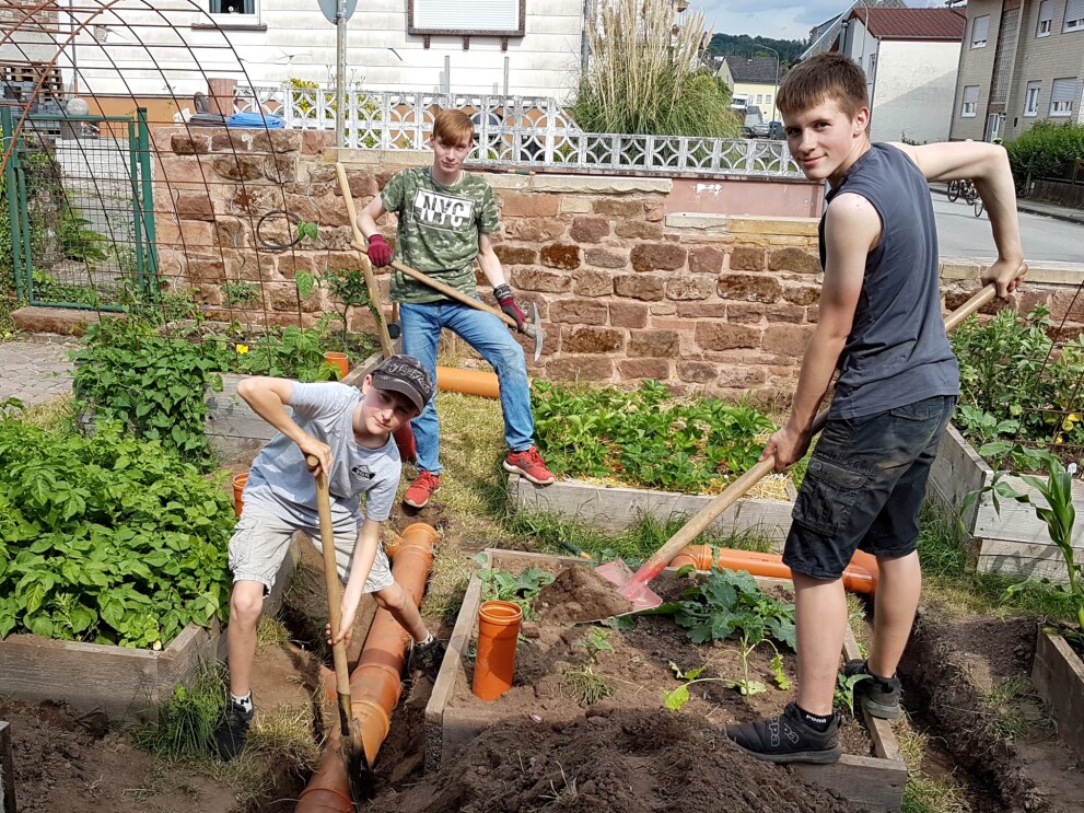 Drei Jungen mit Gartenwerkzeugen in den Händen stehen in einem Beet und schauen in die Kamera.. Um sie herum sind weitere  bepflanzte Beete.