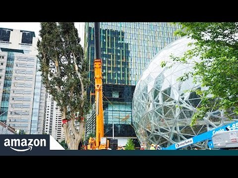 Rubi's trip to her new home