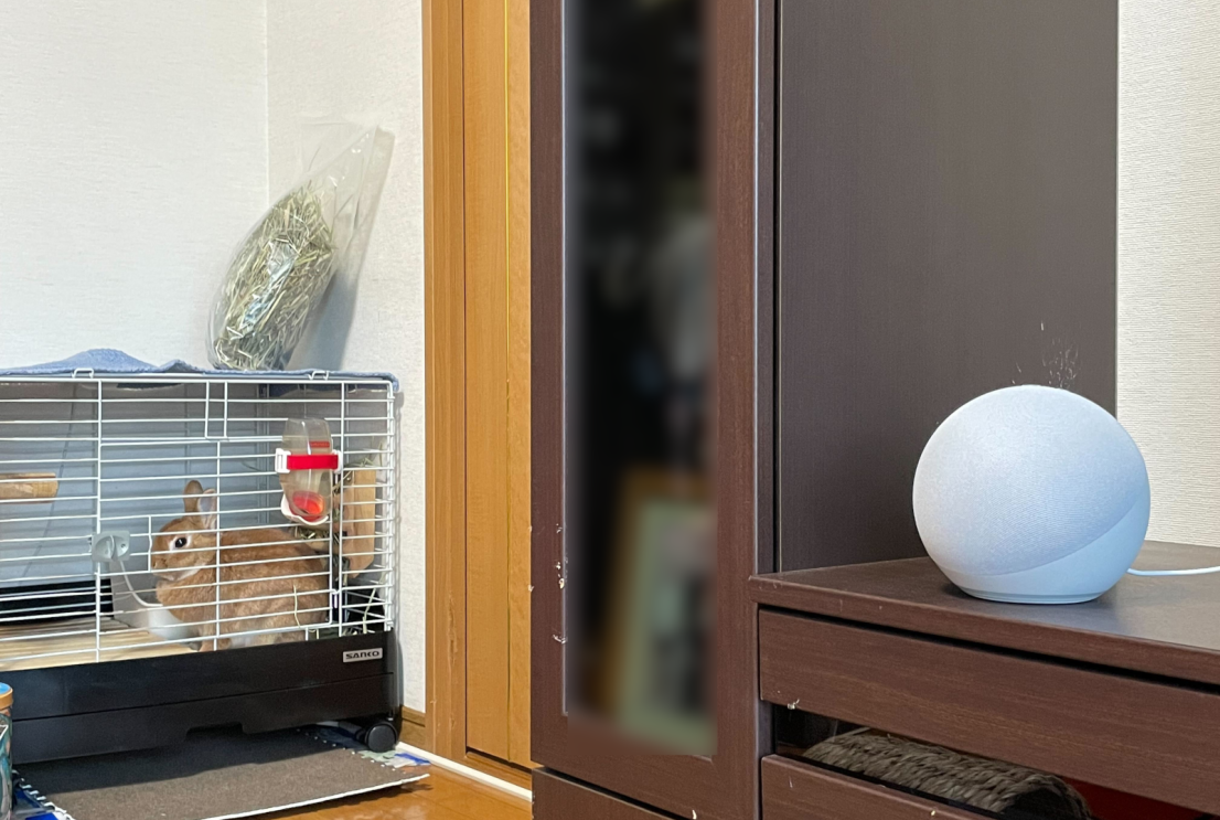 Amazon社員がおすすめする、Alexa（アレクサ）やAmazonデバイスを活用したペットとの暮らし