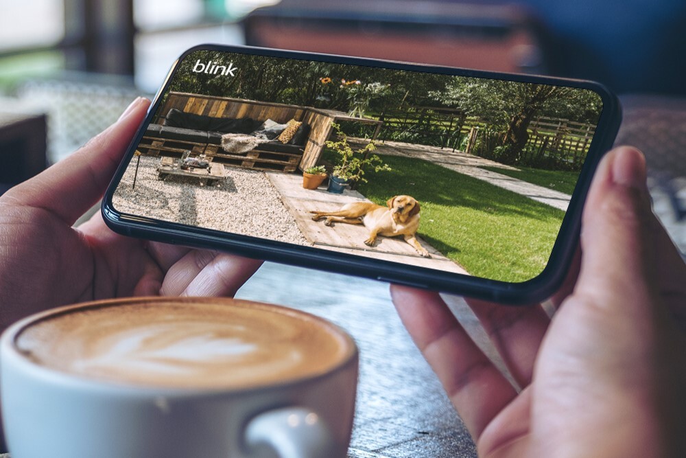 Checking dog from Blink camera while drinking coffee