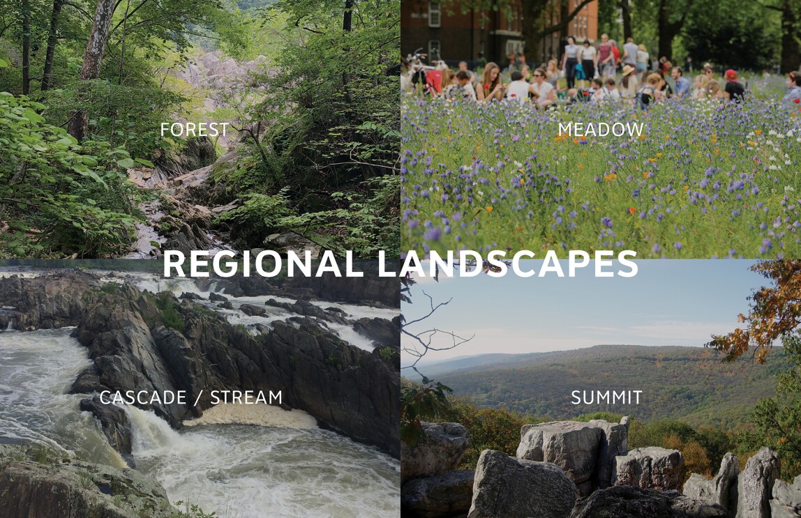 Images showing the planning for the new HQ building in Arlington and how it will resemble natural landscapes.