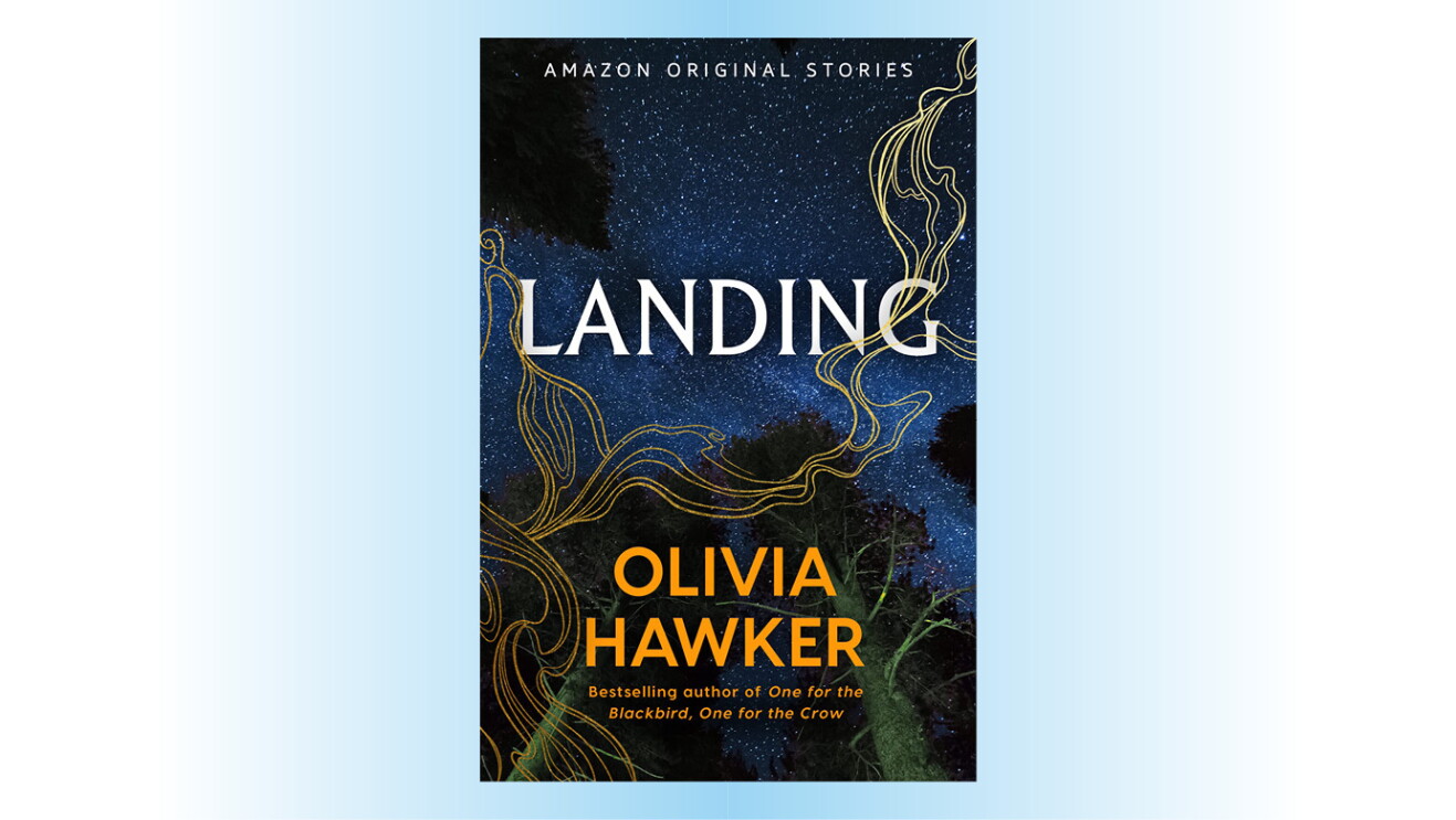 Landing by Olivia Hawker