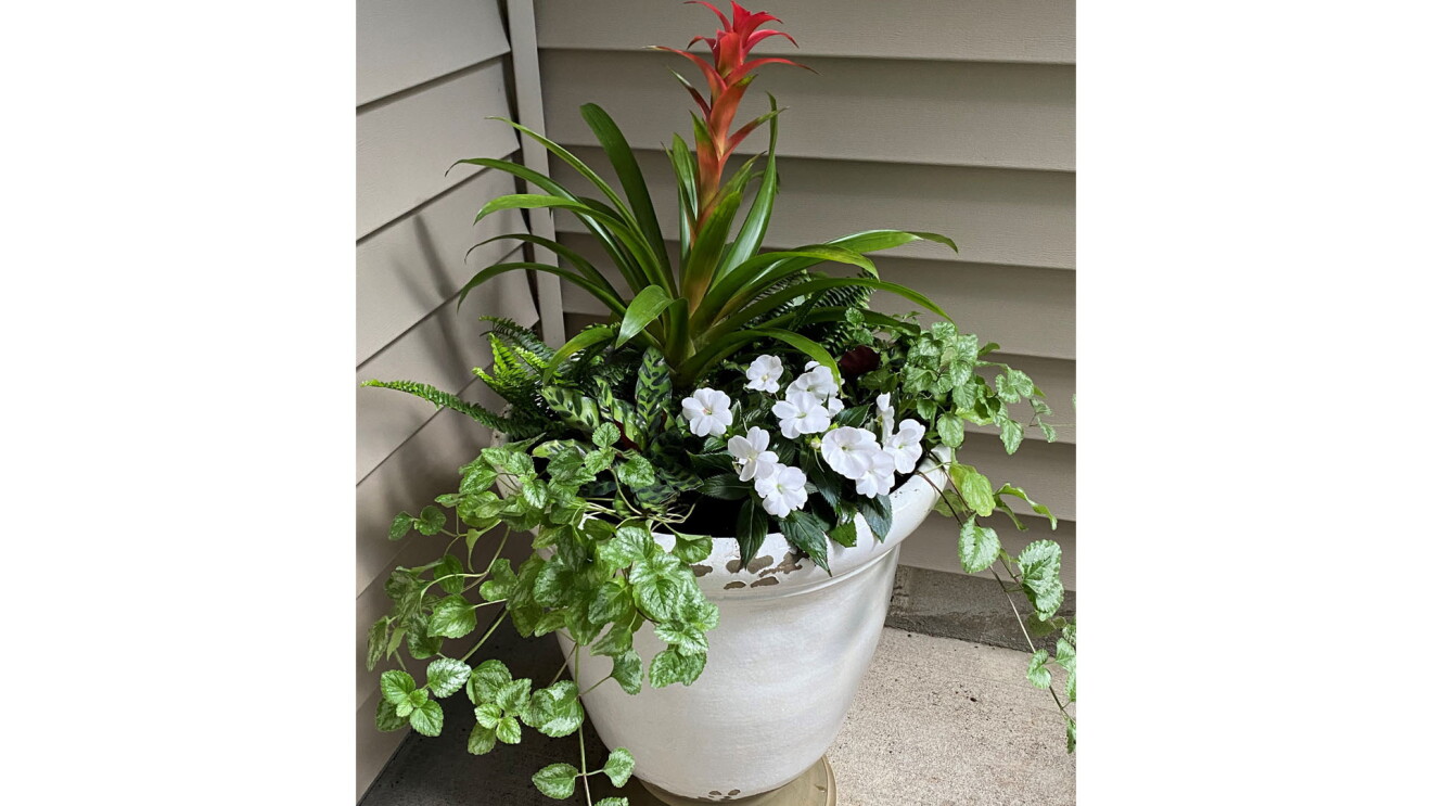 An image of a planter with a tall, orange flower sprouting out the top of it with green plants and white flowers lower in the planter. 