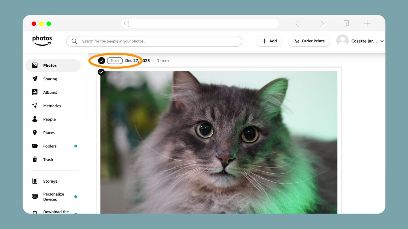 A screenshot showing where the icon is to share an image at the top left of the Amazon Photos experience.