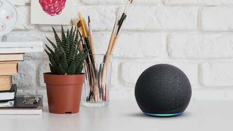 Amazon Echo buying guide: Find out which smart speaker is right for you