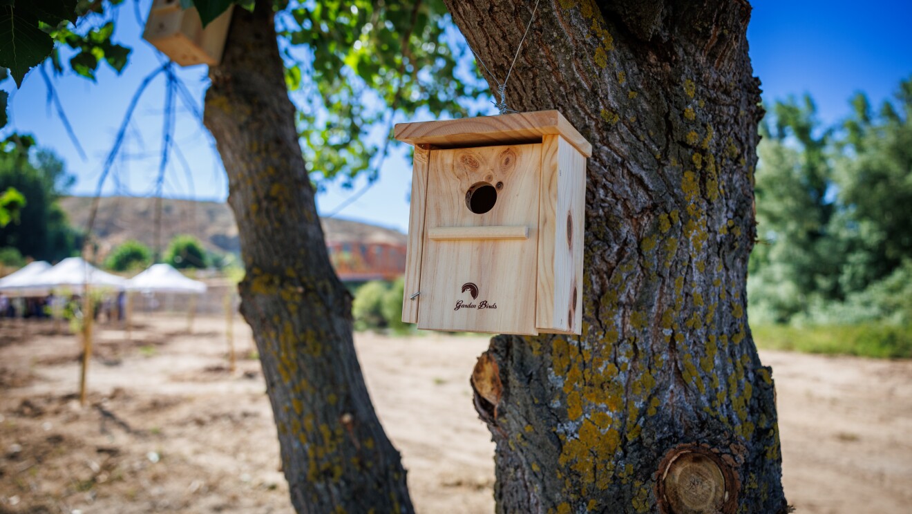 arco verde madrid july 2025 nesting boxes 2  