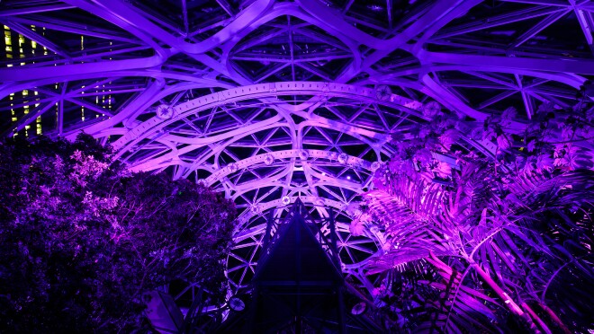 球体发出紫色,标志着100天直到特奥会