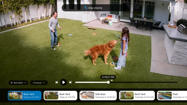 Security camera view of backyard playtime with pet