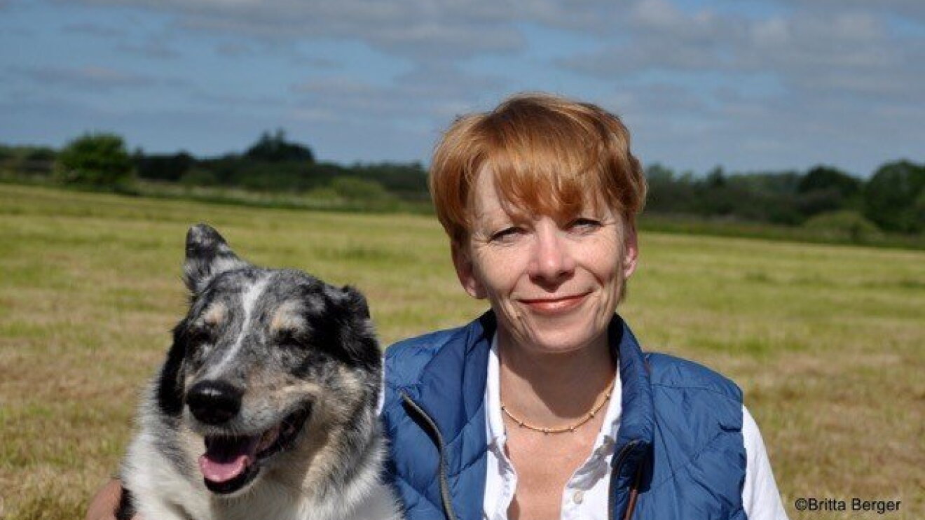 Mit Herz und Hund
