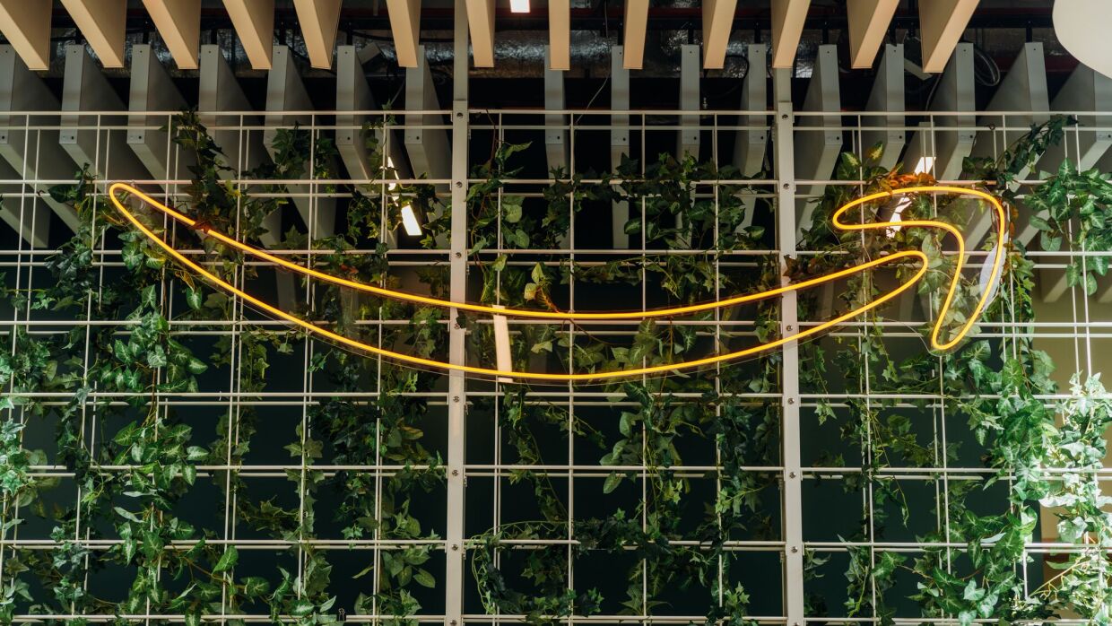 logotipo da amazon com vegetação no fundo