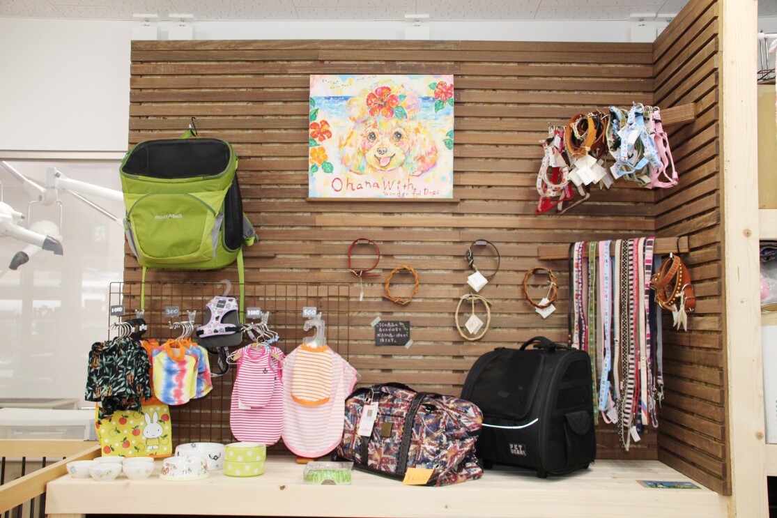 Amazonから広がる「動物保護」の輪 