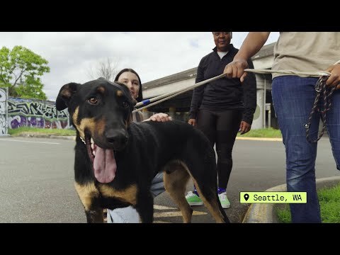 Create easy-to-digest communications for your customers with PartyRock | Amazon Web Services