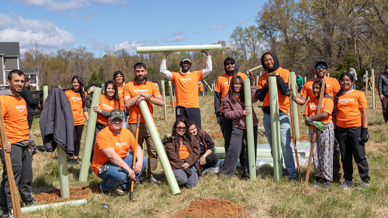 Amazon employees volunteer for community tree planting project