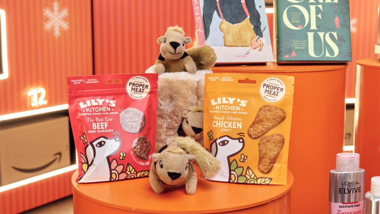 Amazon Black Friday Pet Products (Lily's Pet Food and Squirrel toys) on an orange table with a festive amazon background