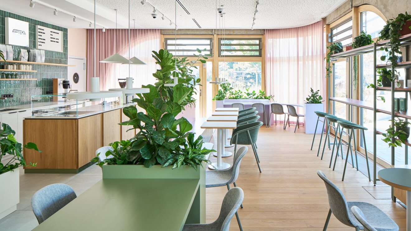 Bilder von neue Cafe Apoteka in Amazon Gebäude STR10 in Tübingen
