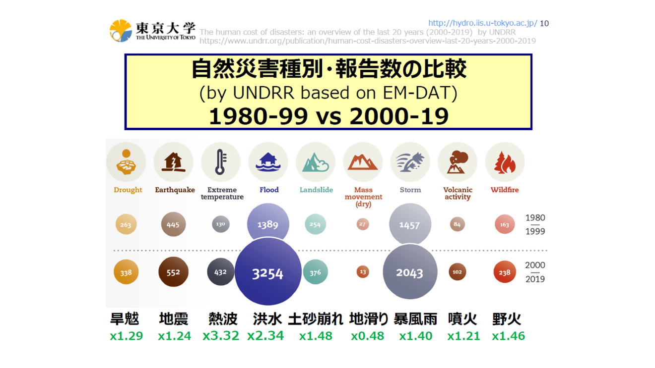 Sustainability Ambassador