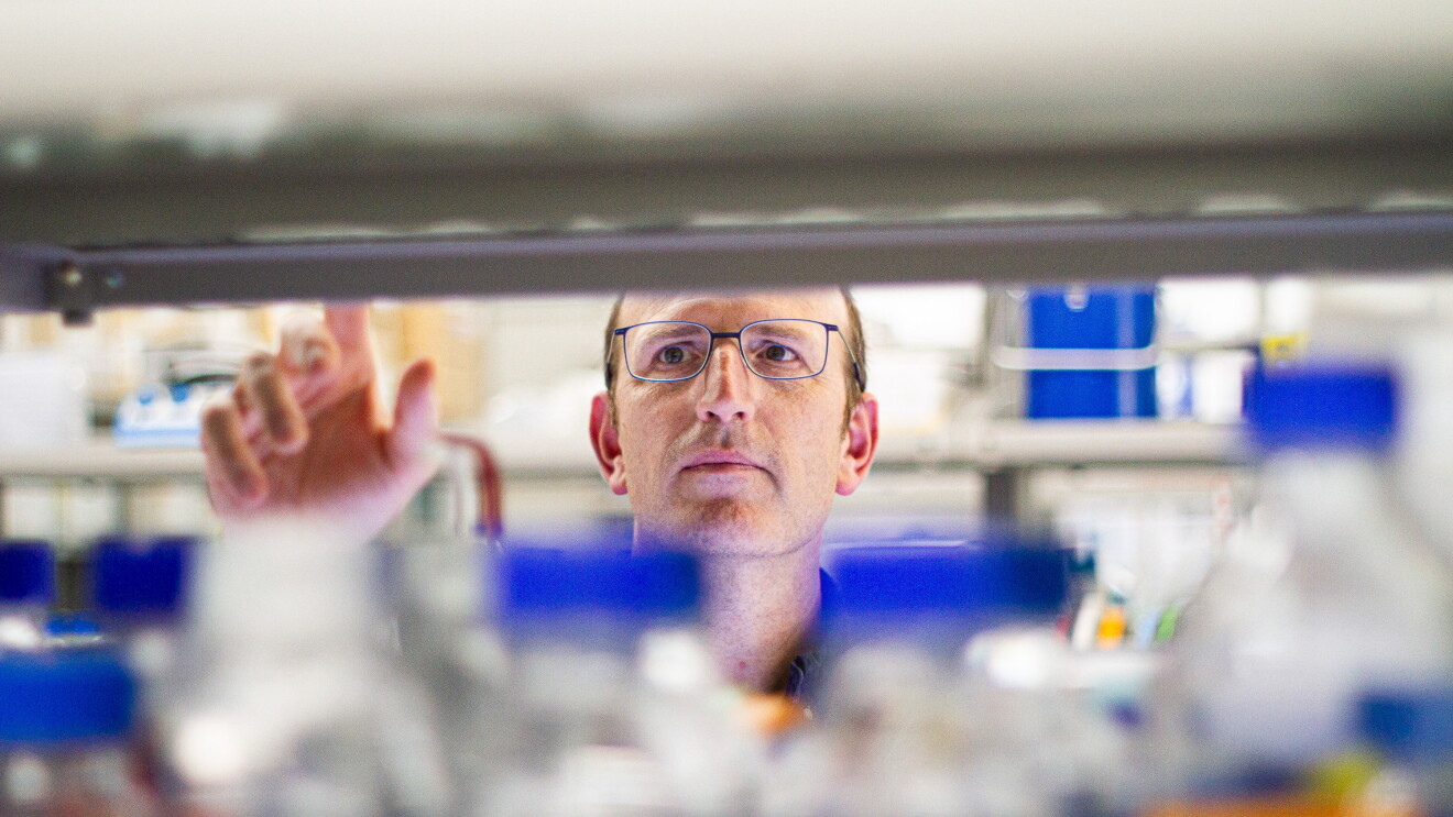 Patrick Aloy lidera el laboratorio de Bioinformática Estructural y Biología de Redes del IRB Barcelona. Patrick está situado detrás de una estanterí de laboratorio con botes que tienen tappones azules. La estantería y los botes aparecen difuminados y Patrick detrás señalando uno de ellos. Patrick tiene el pelo corto y lleva gafas y una camisa azul.