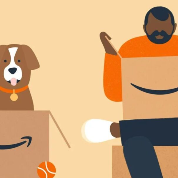 Recycle Boxes from Amazon 