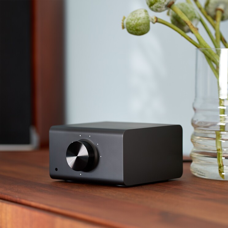 An Echo Link device on a wooden console table. To the left is a speaker. To the right, a glass vase with greenery.