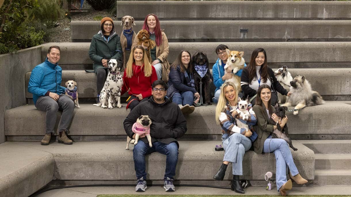 An image of dogs in the office at Amazon's Seattle headquarters with employees. 