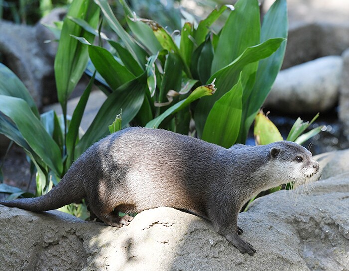 「ほしい物リスト」でつながる応援する心：千葉市の試み