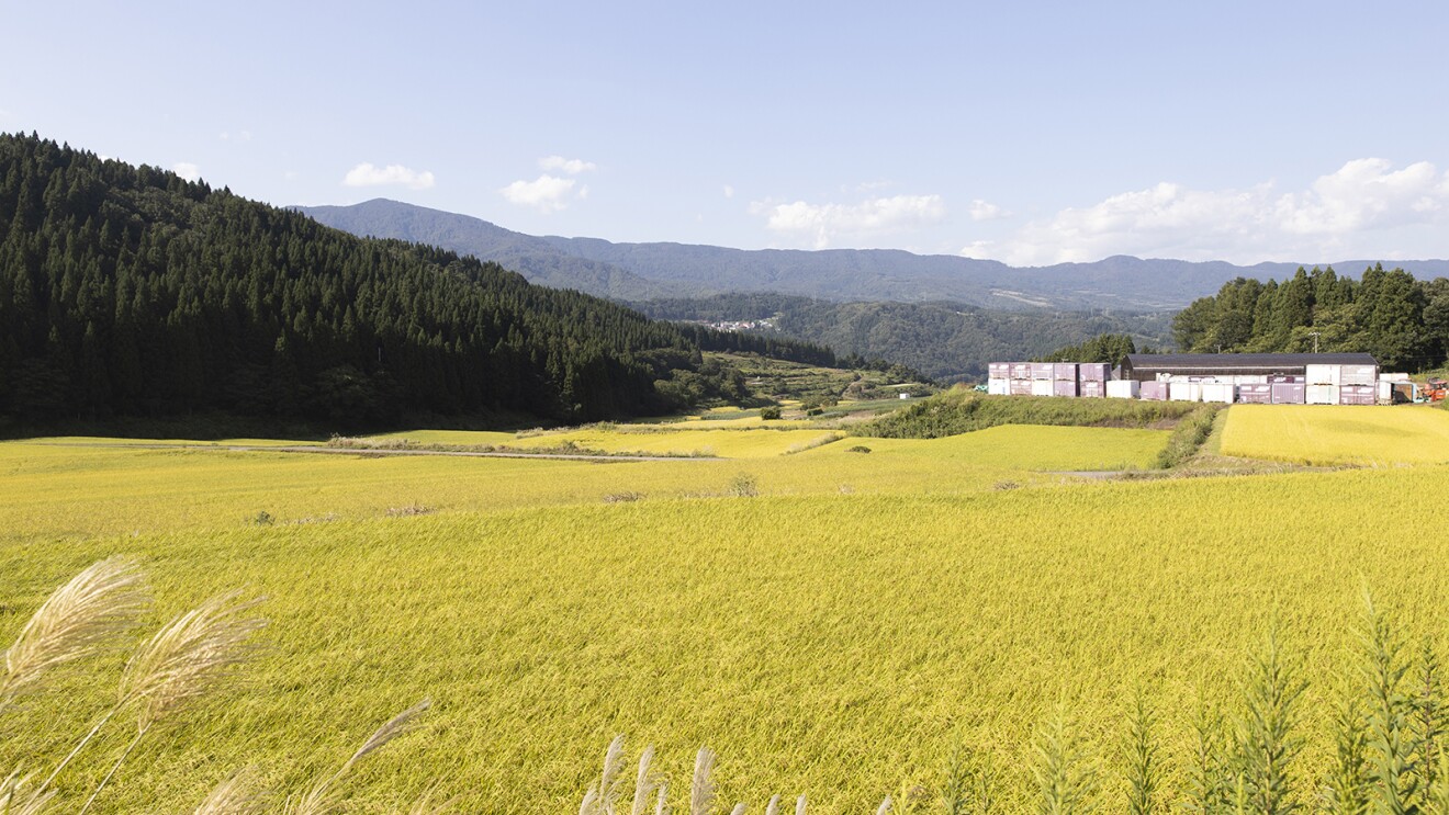 デジタルが切り拓く中小企業の未来 Vol.11　DXが生み出す地方創生の新しい形