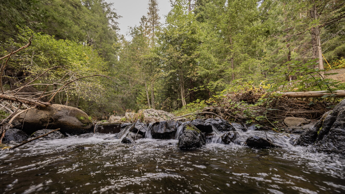Small waterfall cascading over mossy rocks in a lush forest stream