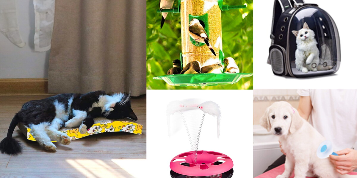 Pet Components 13 must-buy pet accessories on Amazon for dogs, cats, birds and fishes ...