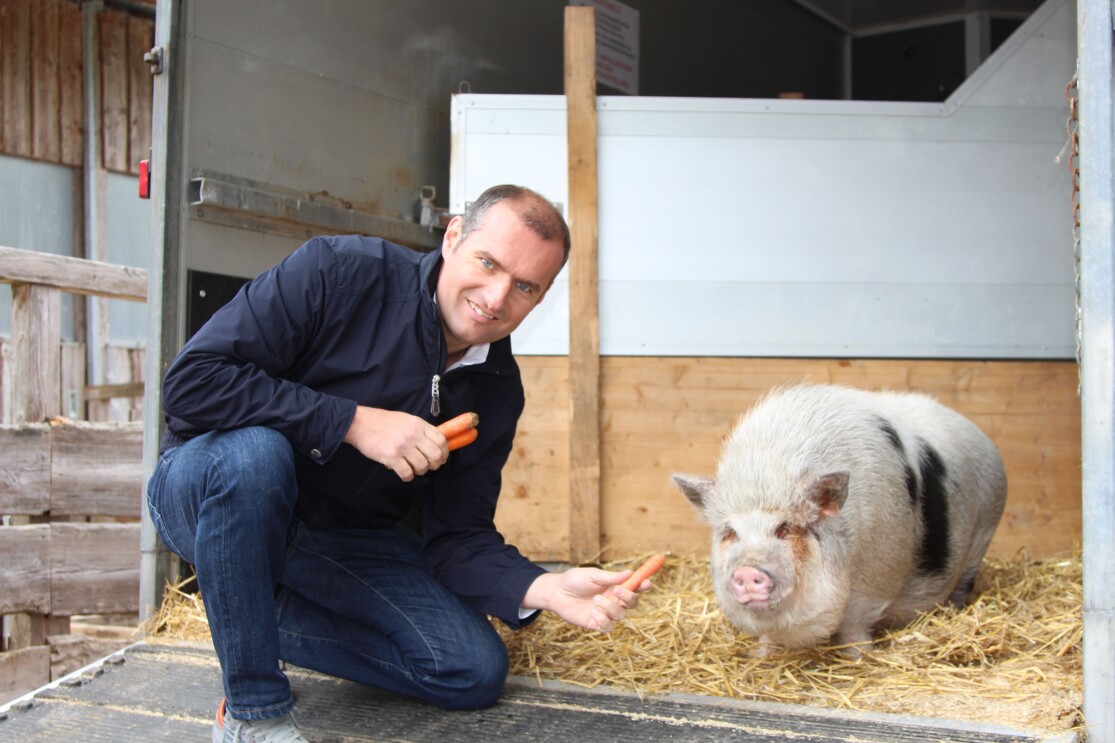 Dieter Ehrengruber füttert Schwein Timon