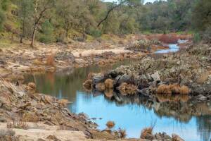 A photo of the Cosumnes River in California.