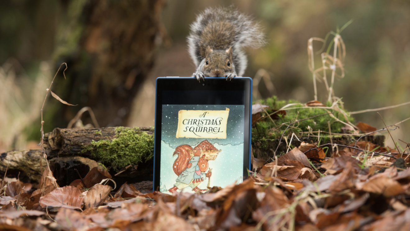 squirrel 1