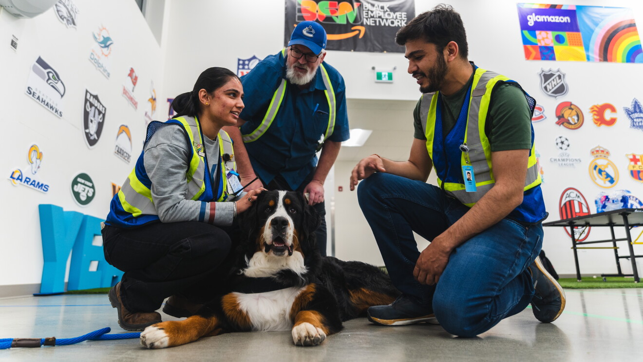 Amazon x DVV2 Therapy Dogs