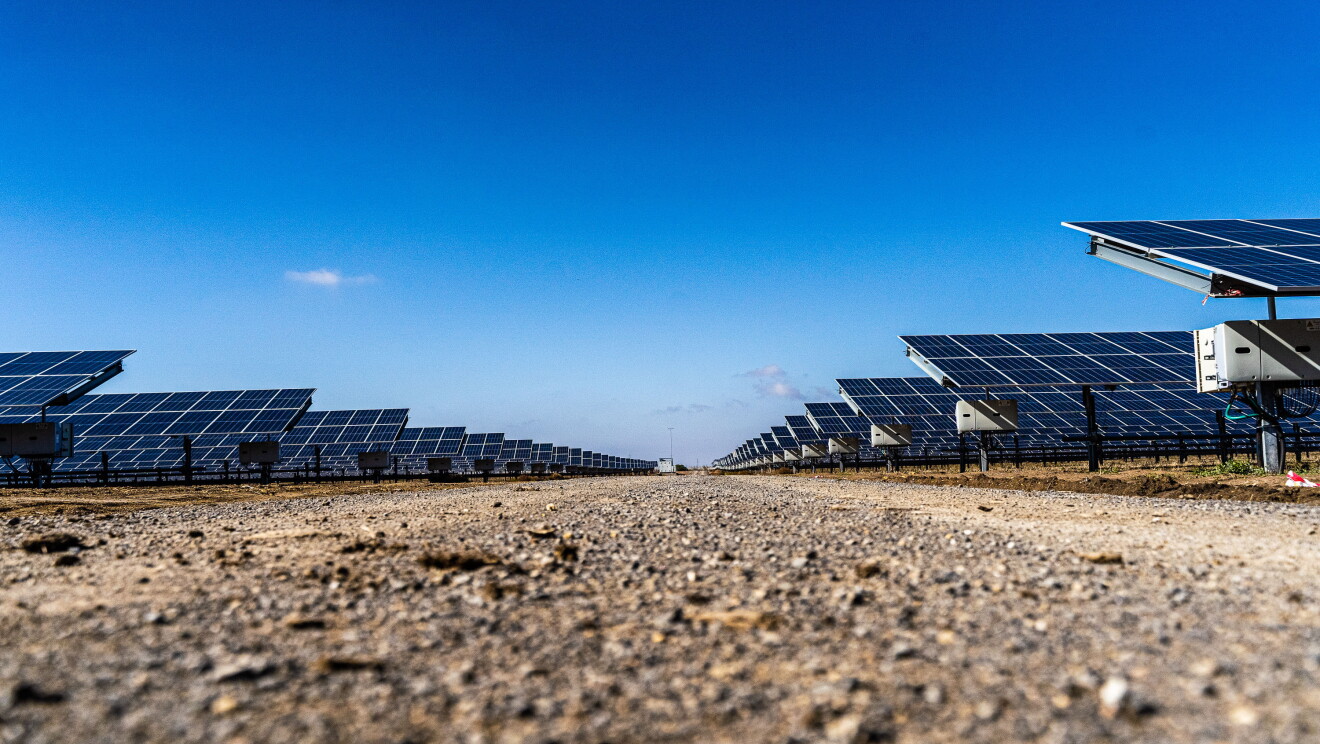 El proyecto solar de Alcalá de Guadaira en Sevilla es capaz de generar la energía necesaria para abastecer a 30 000 hogares españoles. Decenas de placas solares a lado y lado de la foto. En el centro un camino de tierra. El cierlo azul.