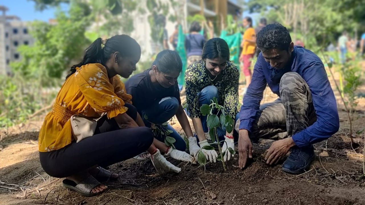 Tree plantation_Amazon employees